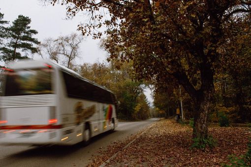 Okossan tervezz az őszi buszos utak és őszi repülős utak előtt. őszi buszos utak