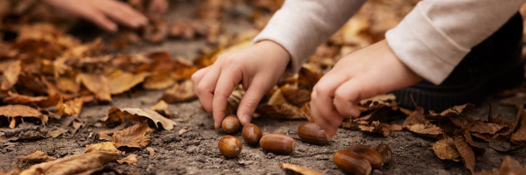 Rövid ösvények és pihenőpontok - tippek a kényelmes őszi kiránduláshoz Őszi erdei hangulat - rövid, jelzett túrák a szép őszi kirándulóhelyek között