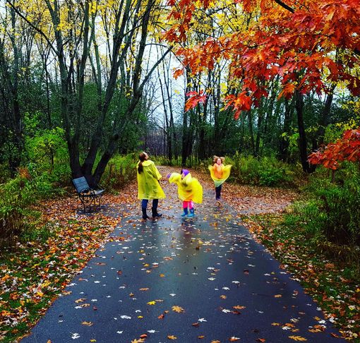 Sétány aranyórában - városi őszi kirándulóhely nyugodt tempóhoz